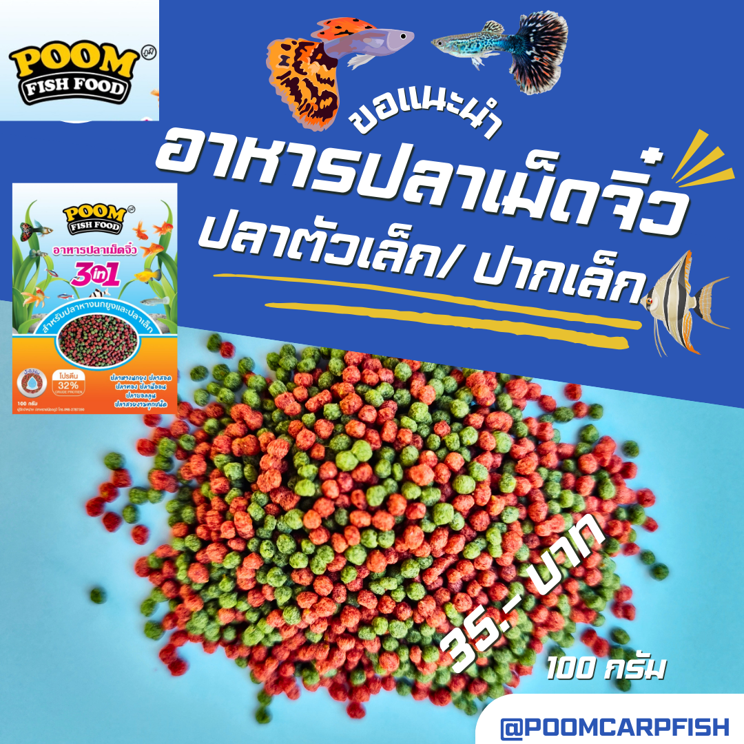 อาหารปลาหางนกยูง ปลาทอง ปลาคราฟ ปลาสวยงาม เม็ดจิ๋ว เกรดเอ (100 กรัม) เพิ่มสารอาหารป้องกันปลาป่วย
