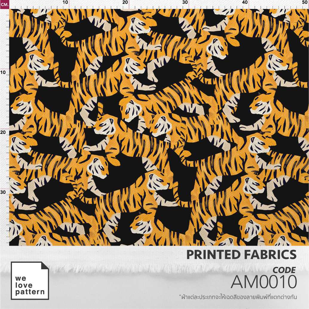รหัสลาย : AM0010