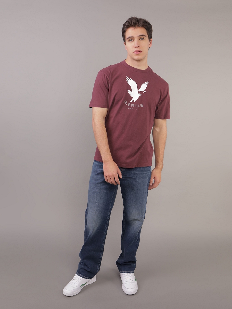 เสื้อยืด ผู้ชาย G SS 1 SET IN TEE- PC DYE + SERIOUSLY SOFT WASH ( 017-3658-613 )