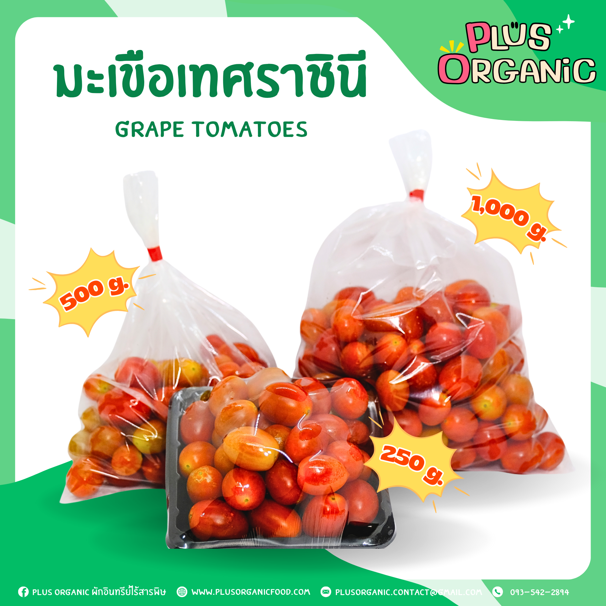มะเขือเทศราชินี ออร์แกนิค - Organic Grape Tomatoes