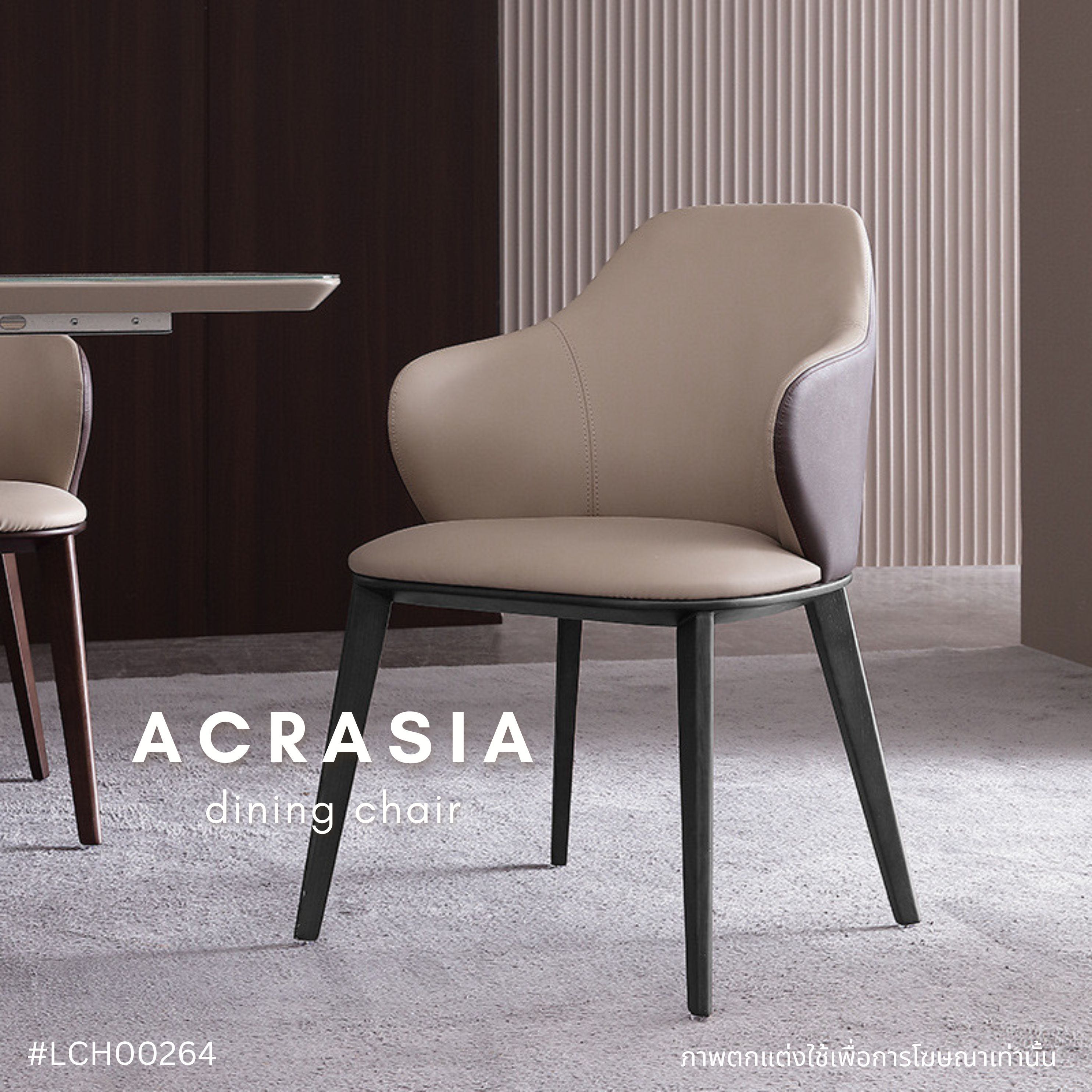 ACRASIA dining chair   