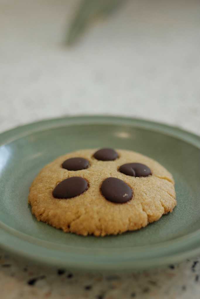 Chilled Truck Only: GF VG Chocolate Chips