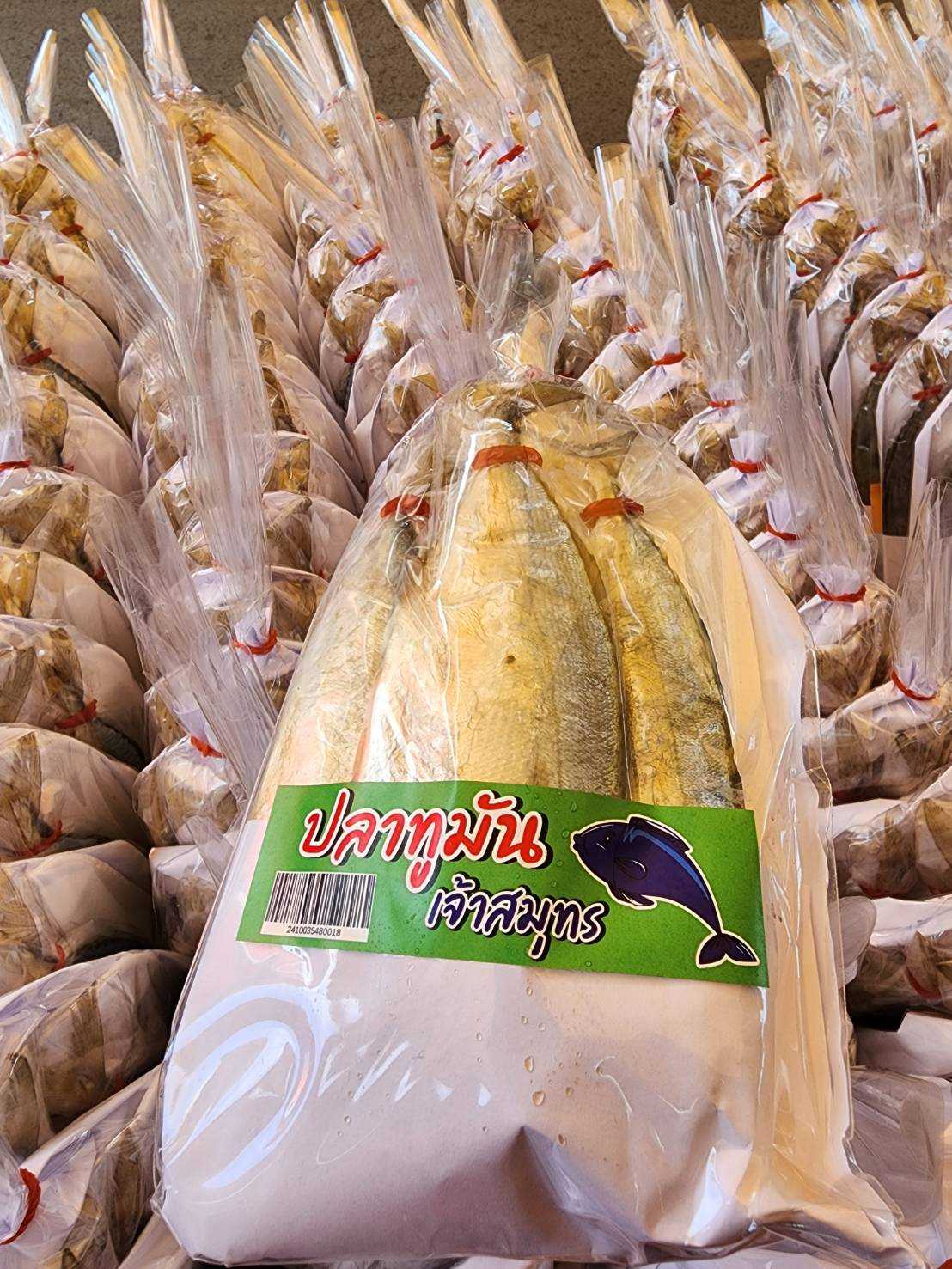 ปลาทูมันจิ๋ว