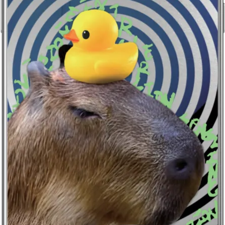 An Image