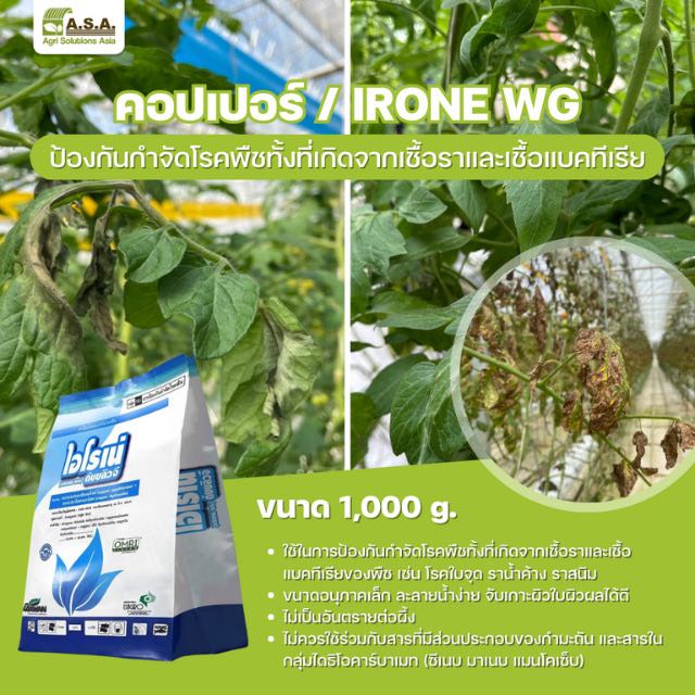 คอปเปอร์ / IRONE WG 1000 g.