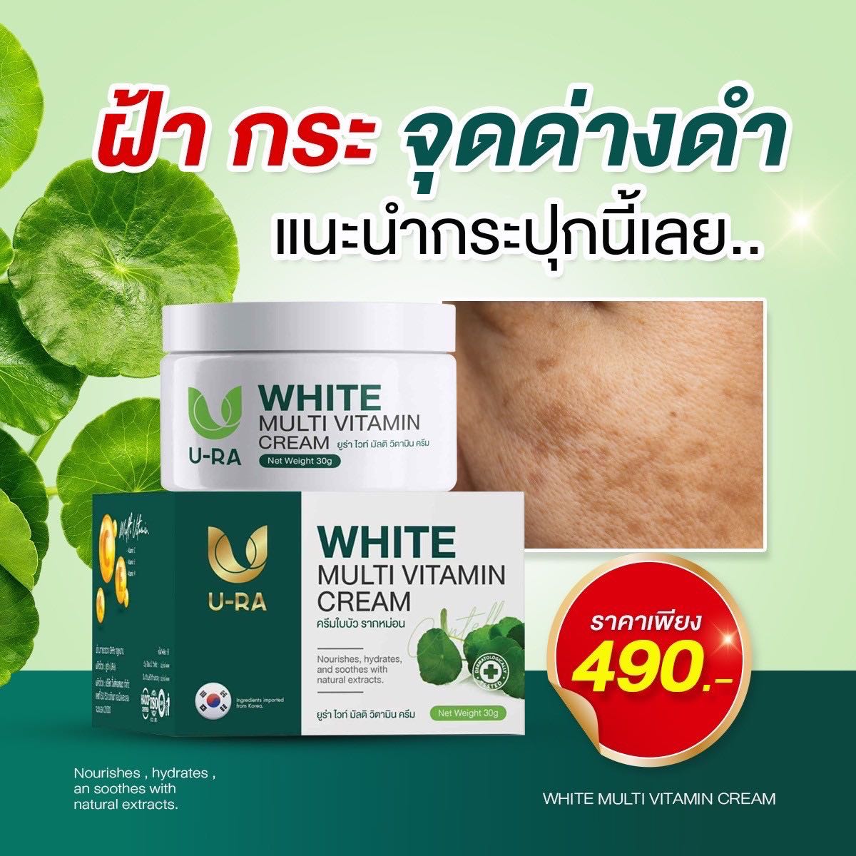 ครีมมะพร้าวใบบัวบก