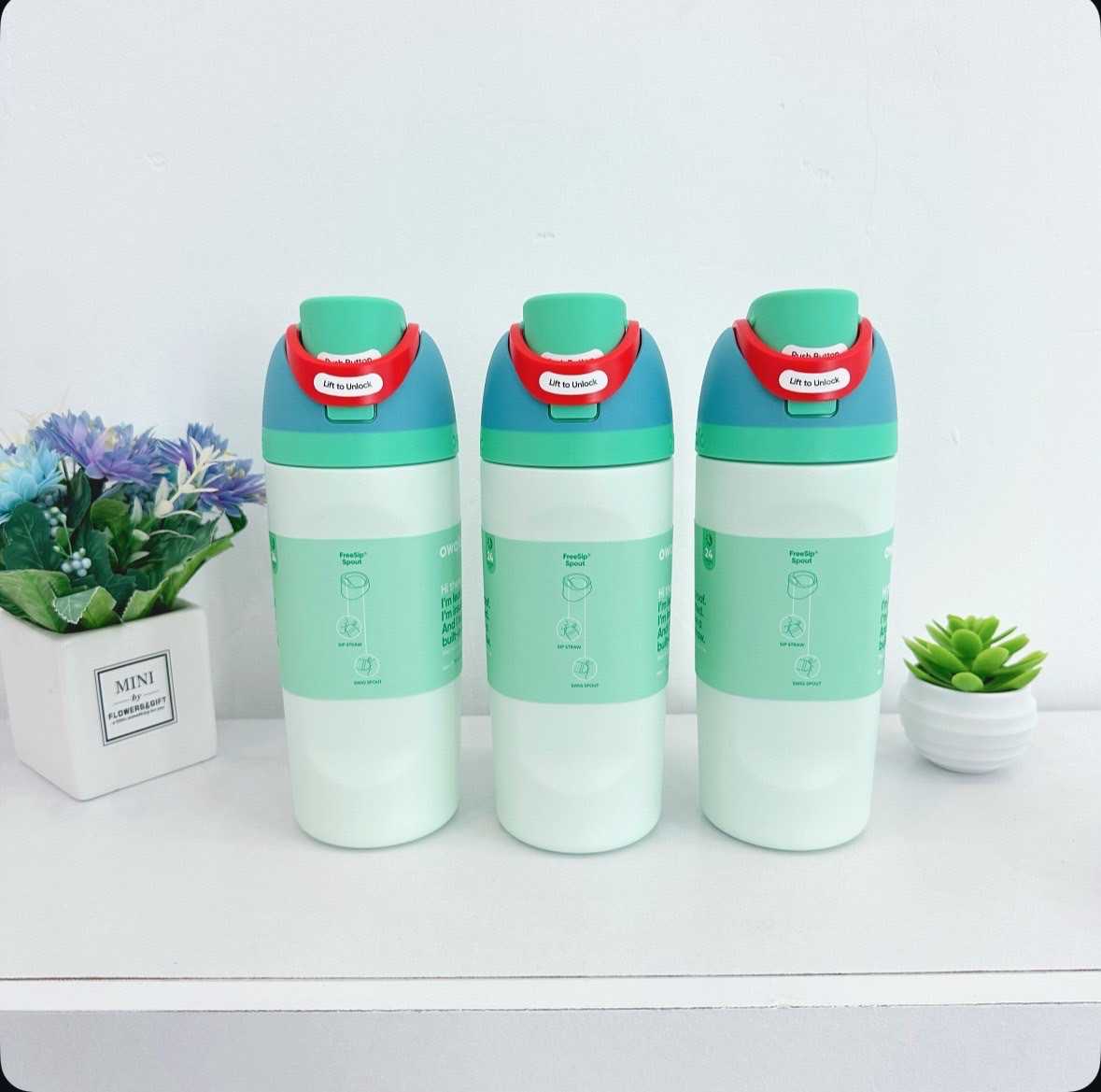 พร้อมส่ง  Owala FreeSip 16oz (Rainforest)