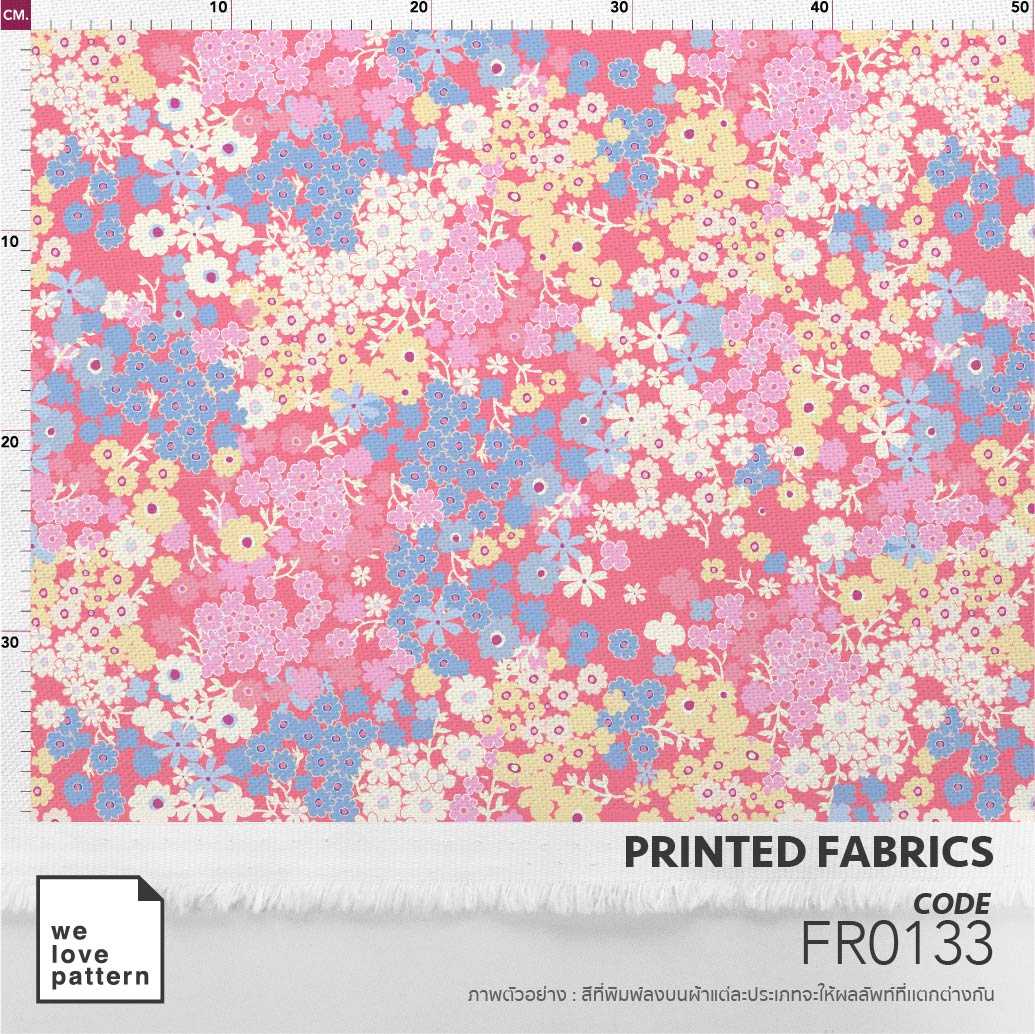 รหัสลาย : FR0133