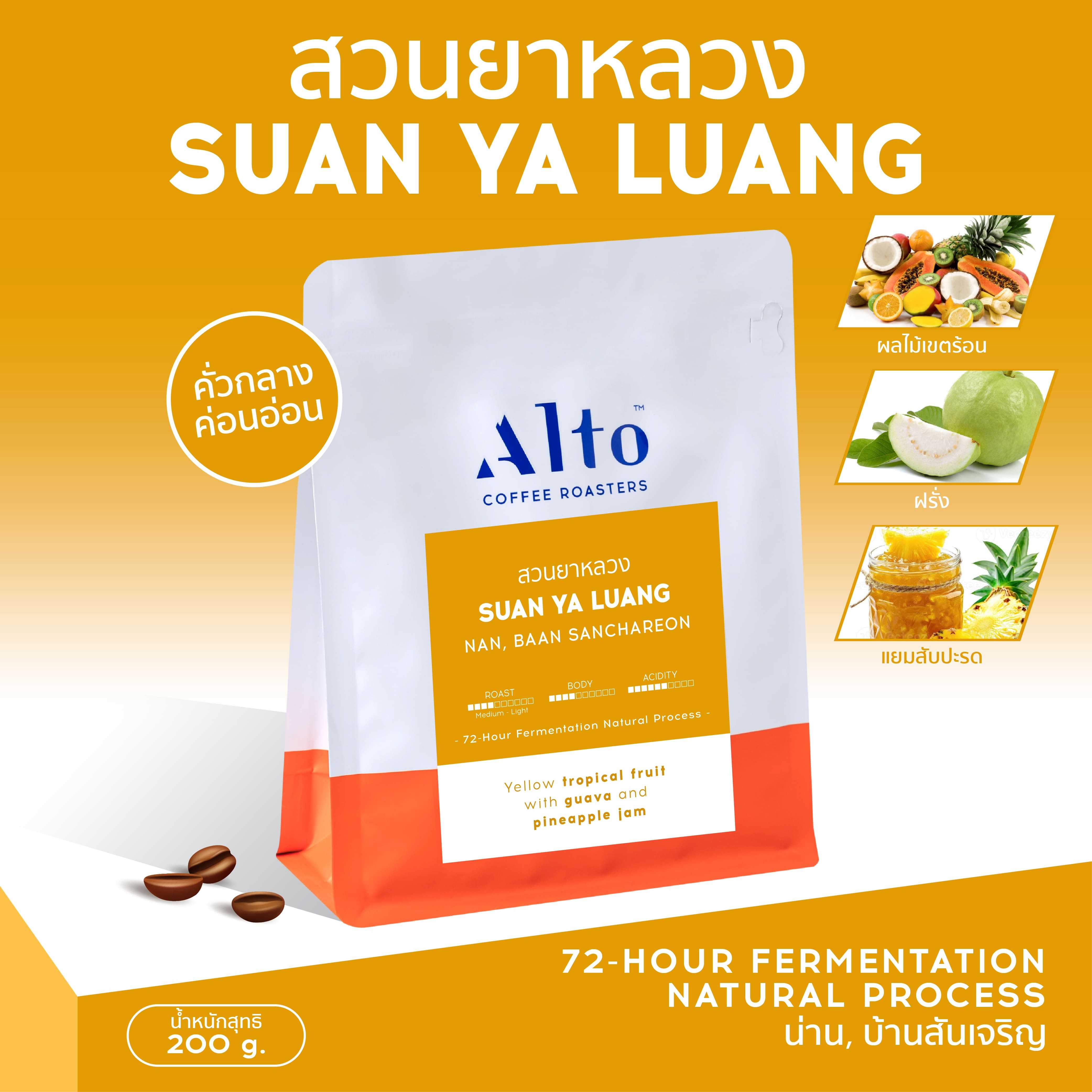 Coffee Beans เมล็ดกาแฟคั่ว - Suan Ya Luang