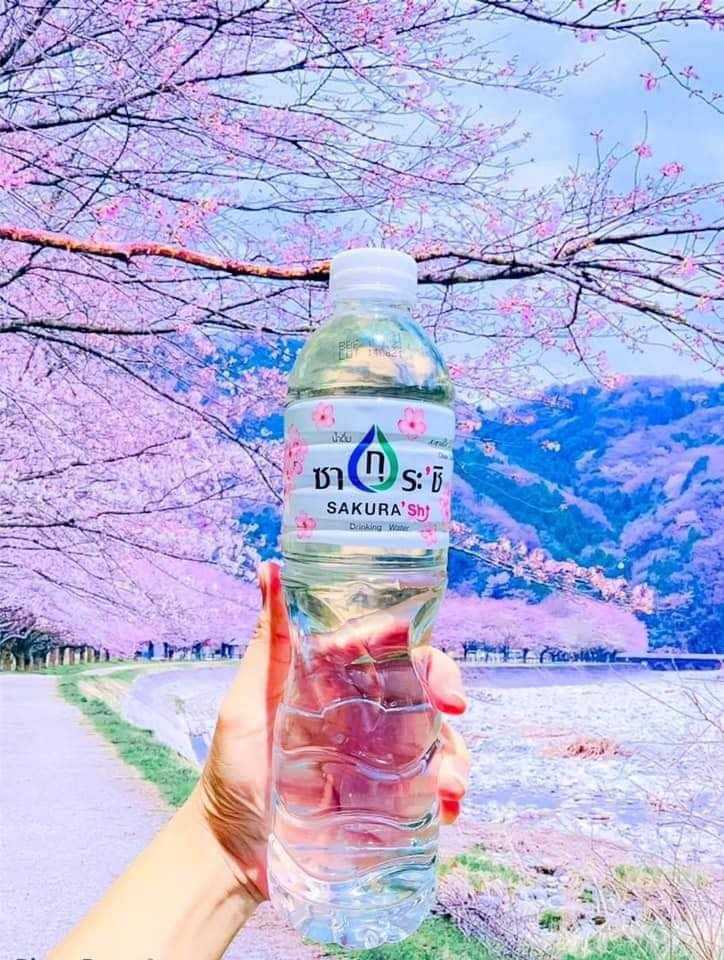 น้ำดื่ม ซากุระ (6แพค) ขวดใหญ่ 1500 ml.