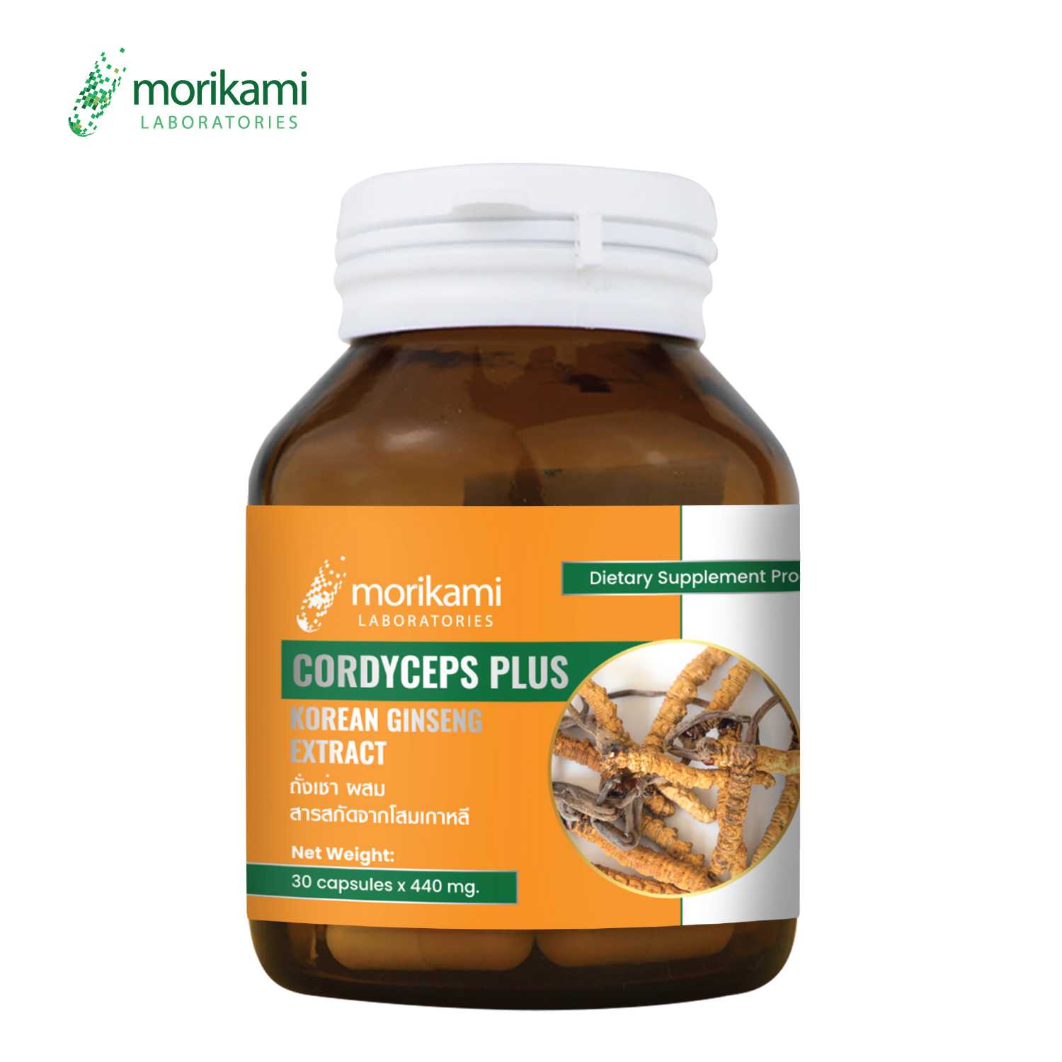 ถั่งเช่า ผสม สารสกัดจากโสมเกาหลี Cordyceps Plus Korean Ginseng Extract x 1 ขวด morikami LABORATORIES