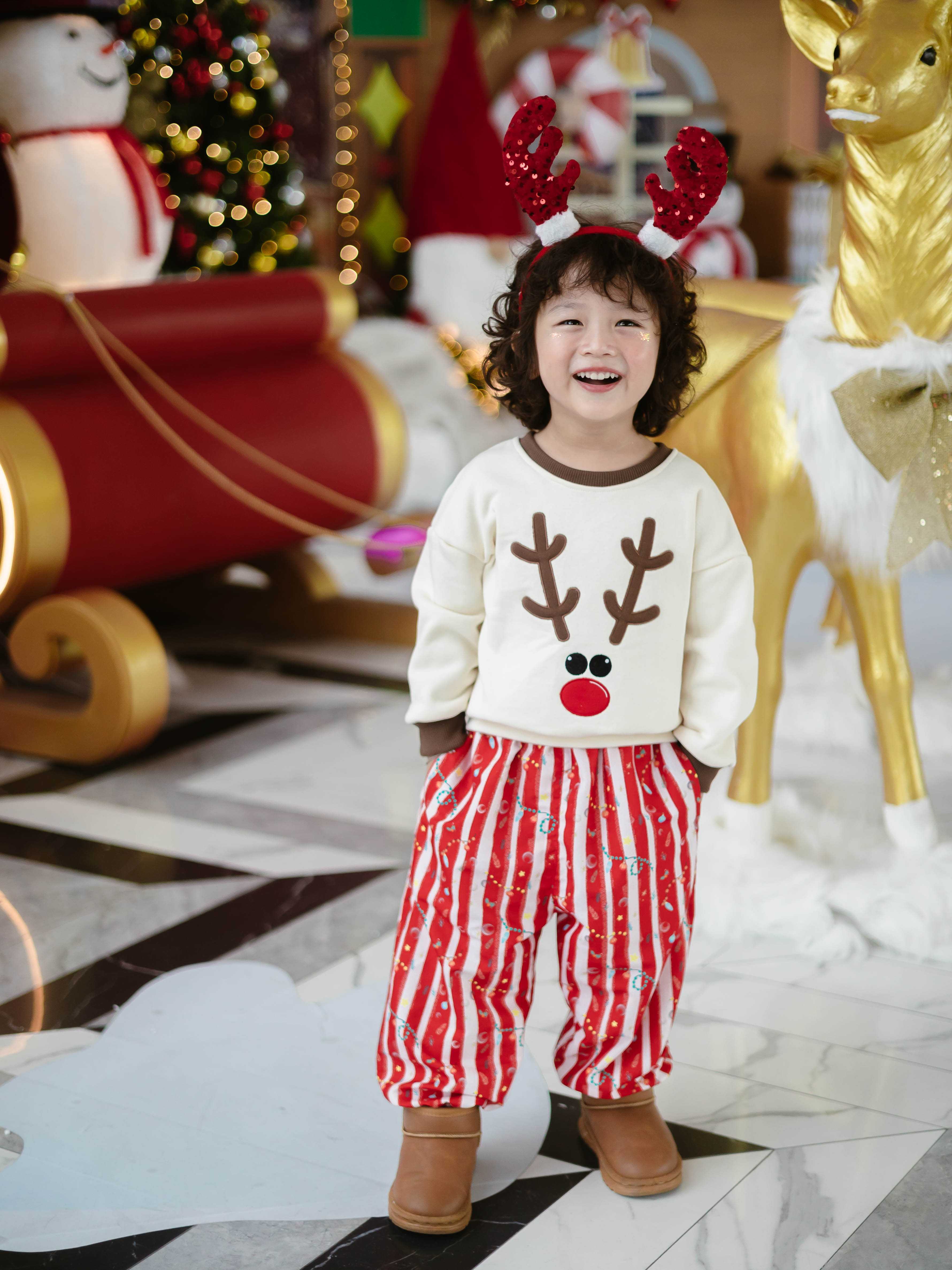 F03 Fluffy reindeer set