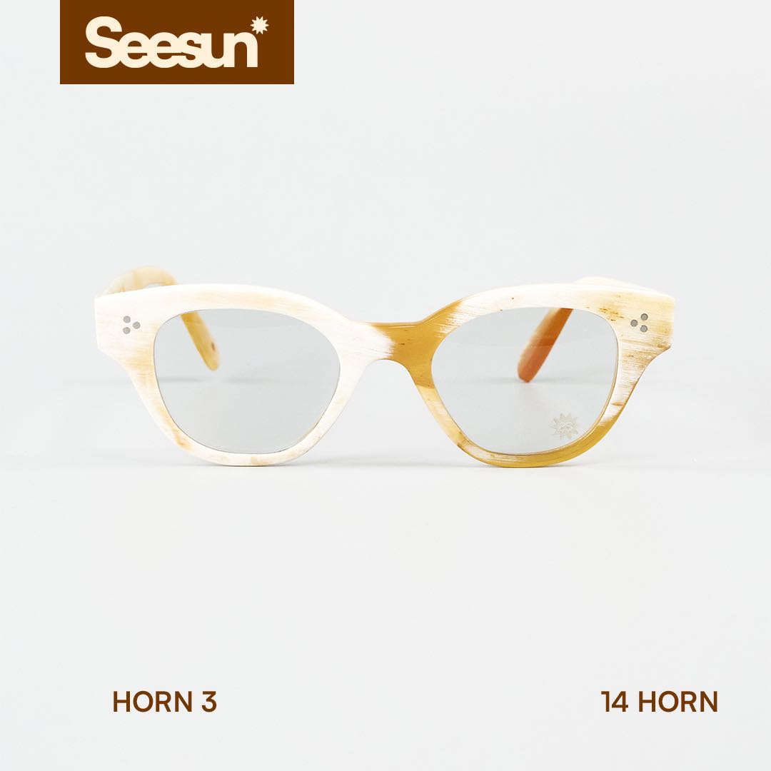 SEESUN - Horn 3
