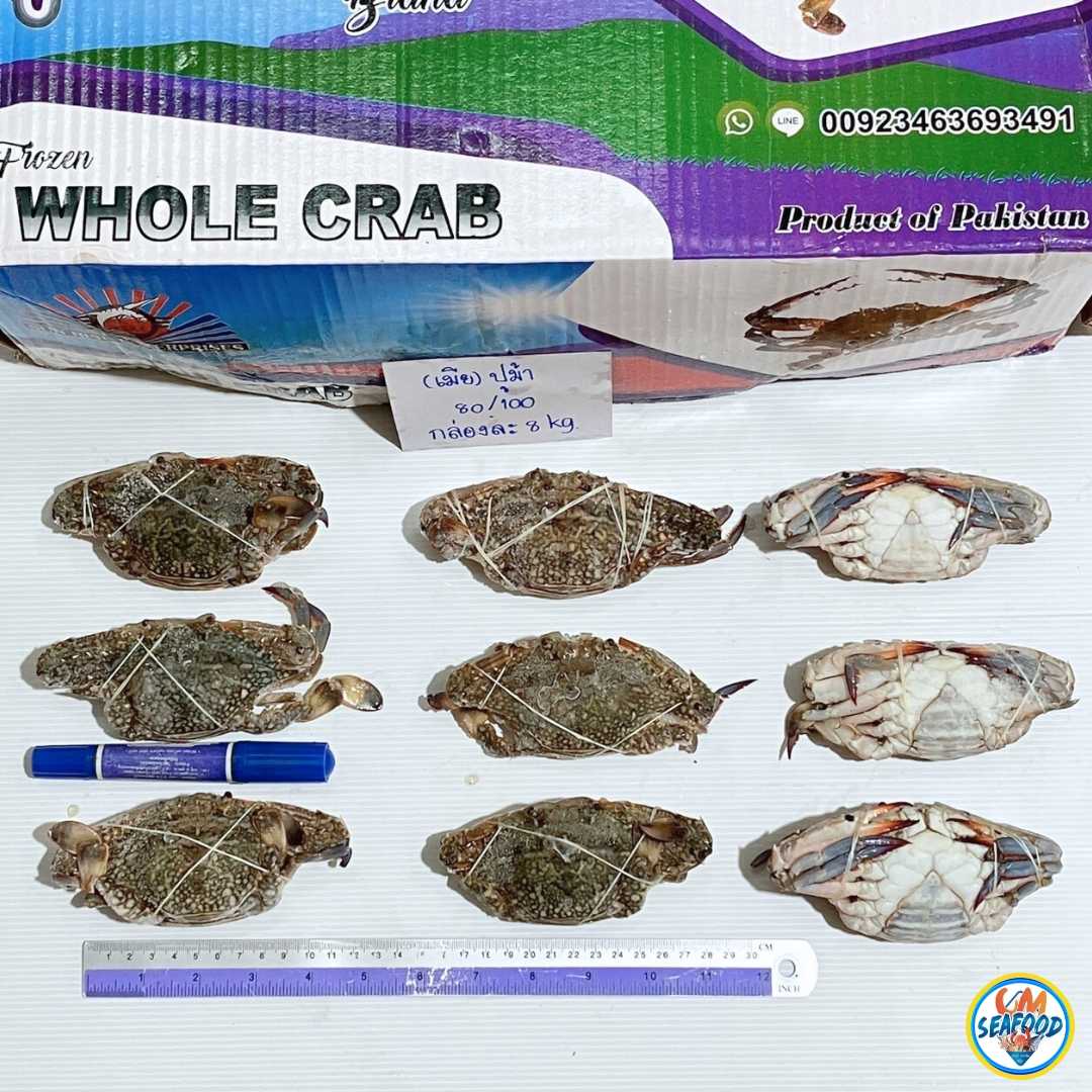 (WHOLE CRAB เมีย) ปูม้าปากี 80/100 8kg/กล่อง (พ่นฟ้า เชือกแดง) (ตกกิโลละ 115 บาท)