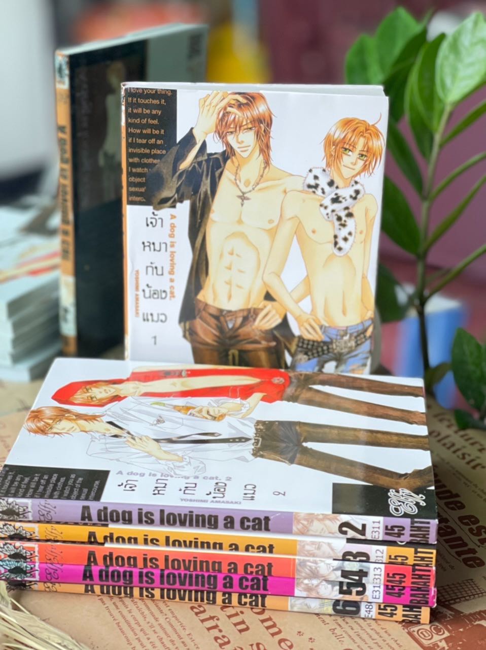 A Dog is loving a cat เล่ม 1-6