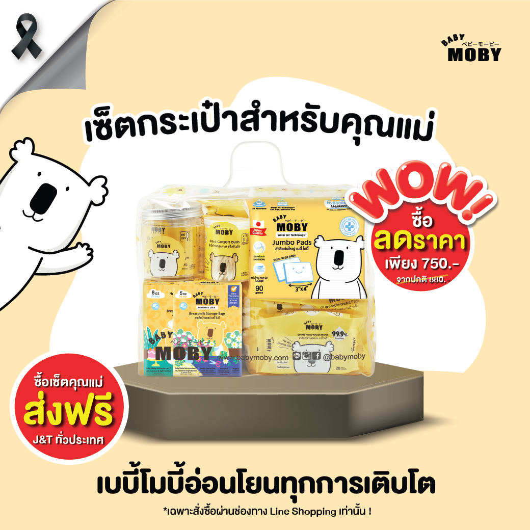 Baby Moby เซ็ตกระเป๋าคุณแม่ รวมสินค้าจำเป็นสำหรับคุณแม่มือใหม่ (งานBaby & Kids)