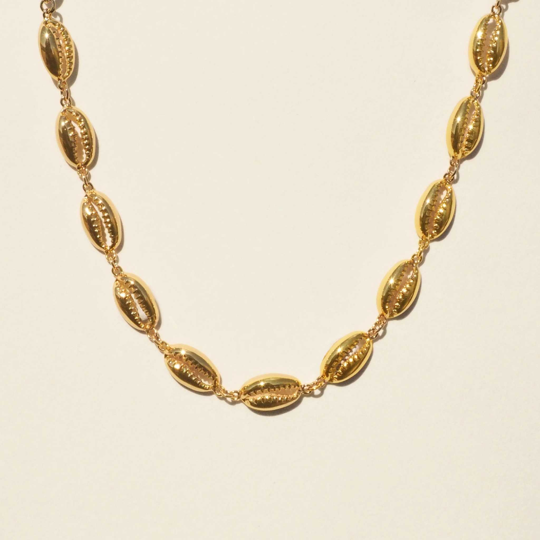 สร้อยโชคเกอร์หอย (Cowrie Shells Choker)