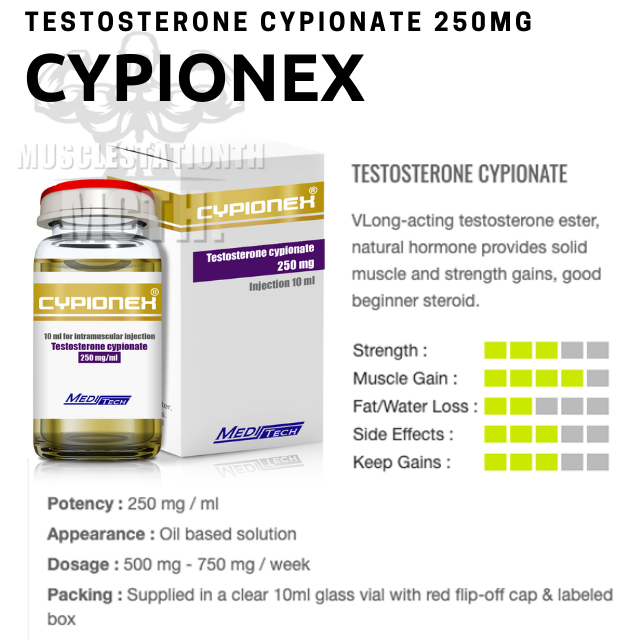 Test C (Cypionex) Meditech (250mg×10ml)