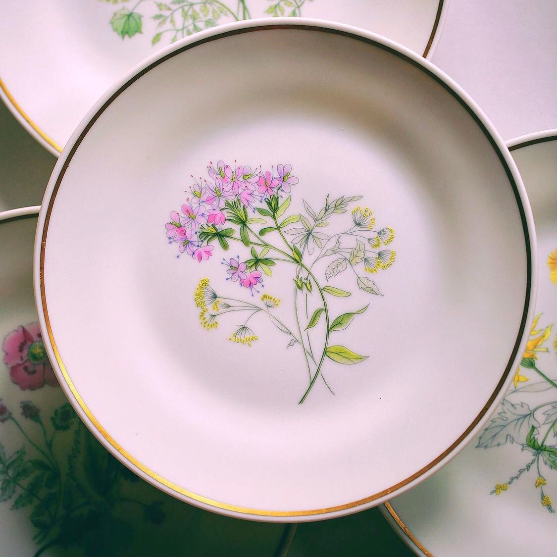 จานสลัด7.75” Richard Ginori -  Salad Plate