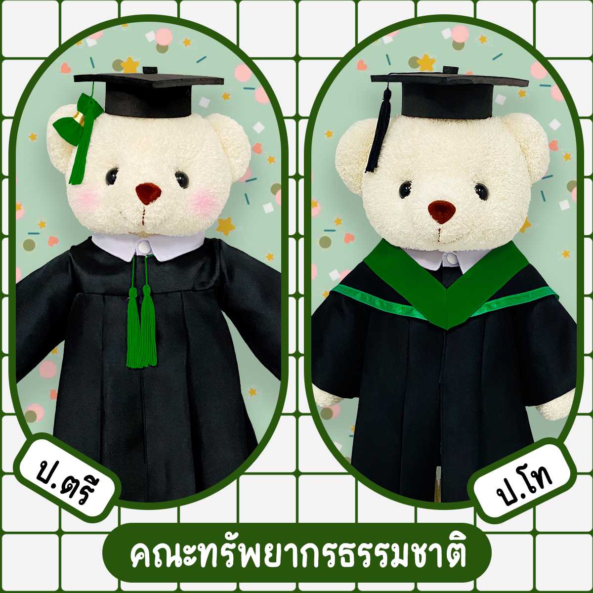 ตุ๊กตาหมีชุดครุย ม.เกษตร คณะทรัพยากรธรรมชาติ