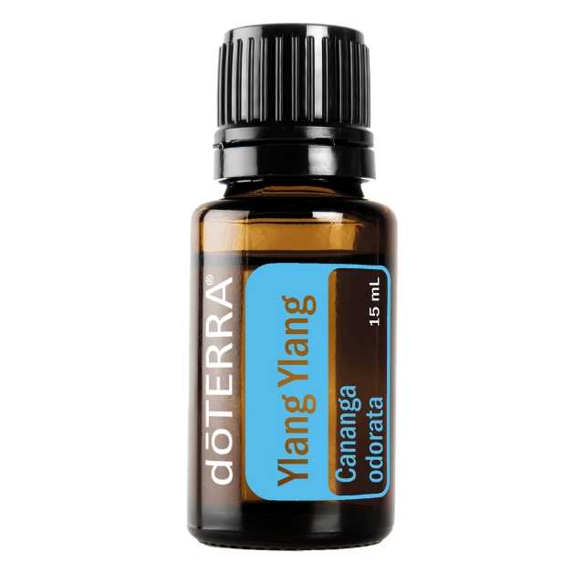 Ylang Ylang - อิลาง อิลาง - 47 PV