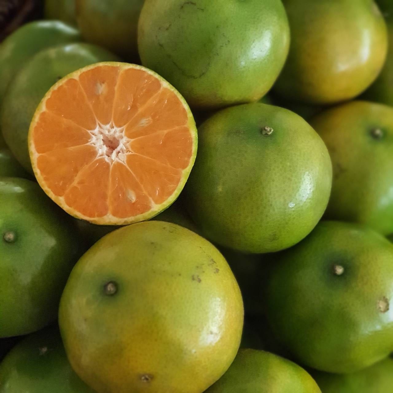 SET 3 Kg.Sai nam peung orange  (ส้มสายน้ำผึ้ง  3 กก.)