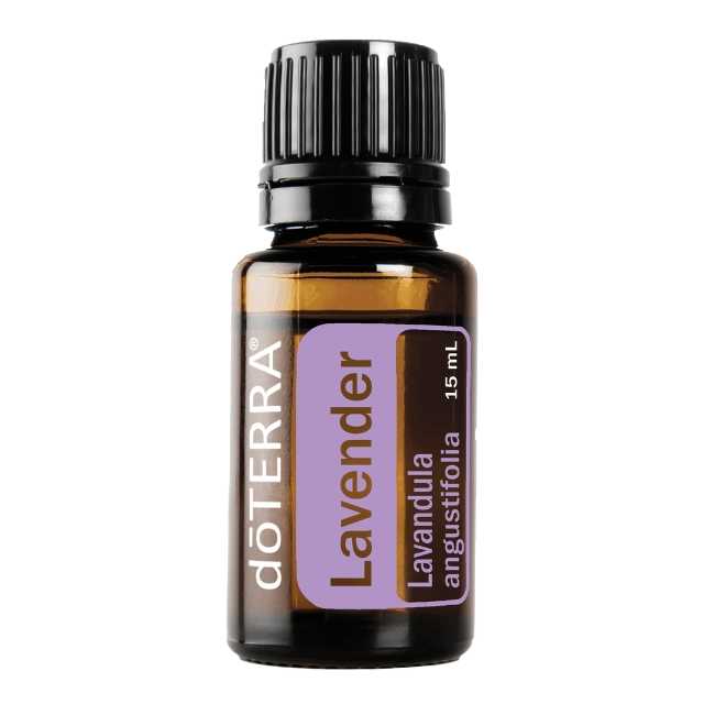 Lavender - ลาเวนเดอร์ - 28 PV