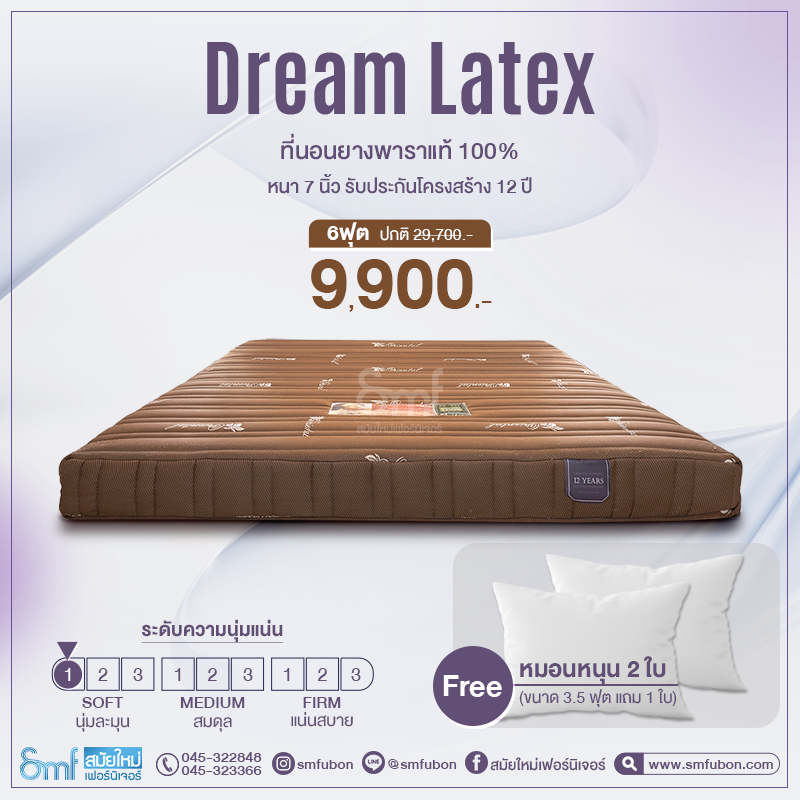 ที่นอนยางพารา รุ่น Dream Latex