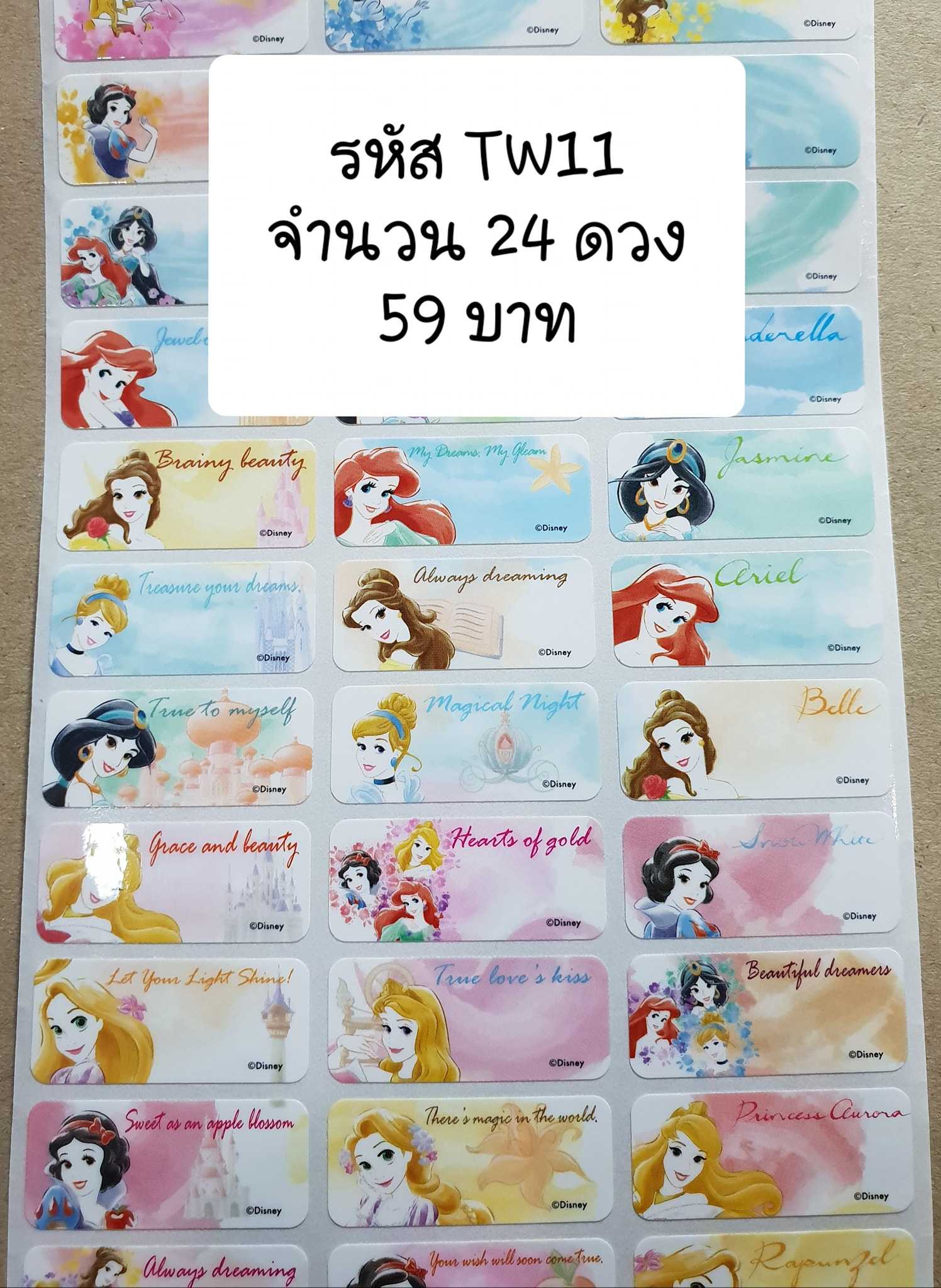 TW11  Princess