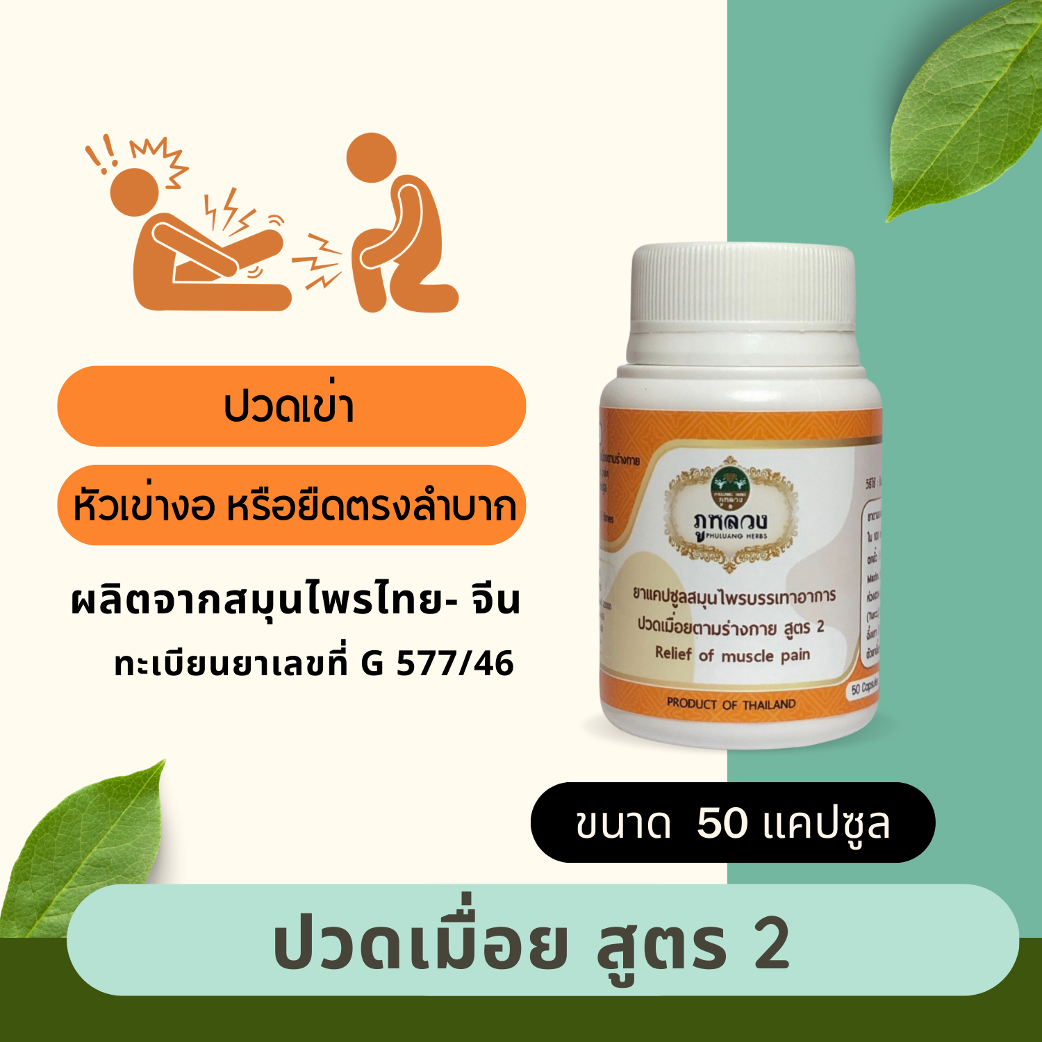 ปวดเข่า : บรรเทาอาการปวดเมื่อย สูตร 2 (ขนาดบรรจุ 50 แคปซูล)