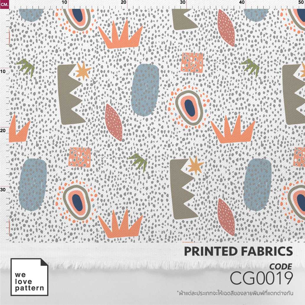 รหัสลาย : CG0019