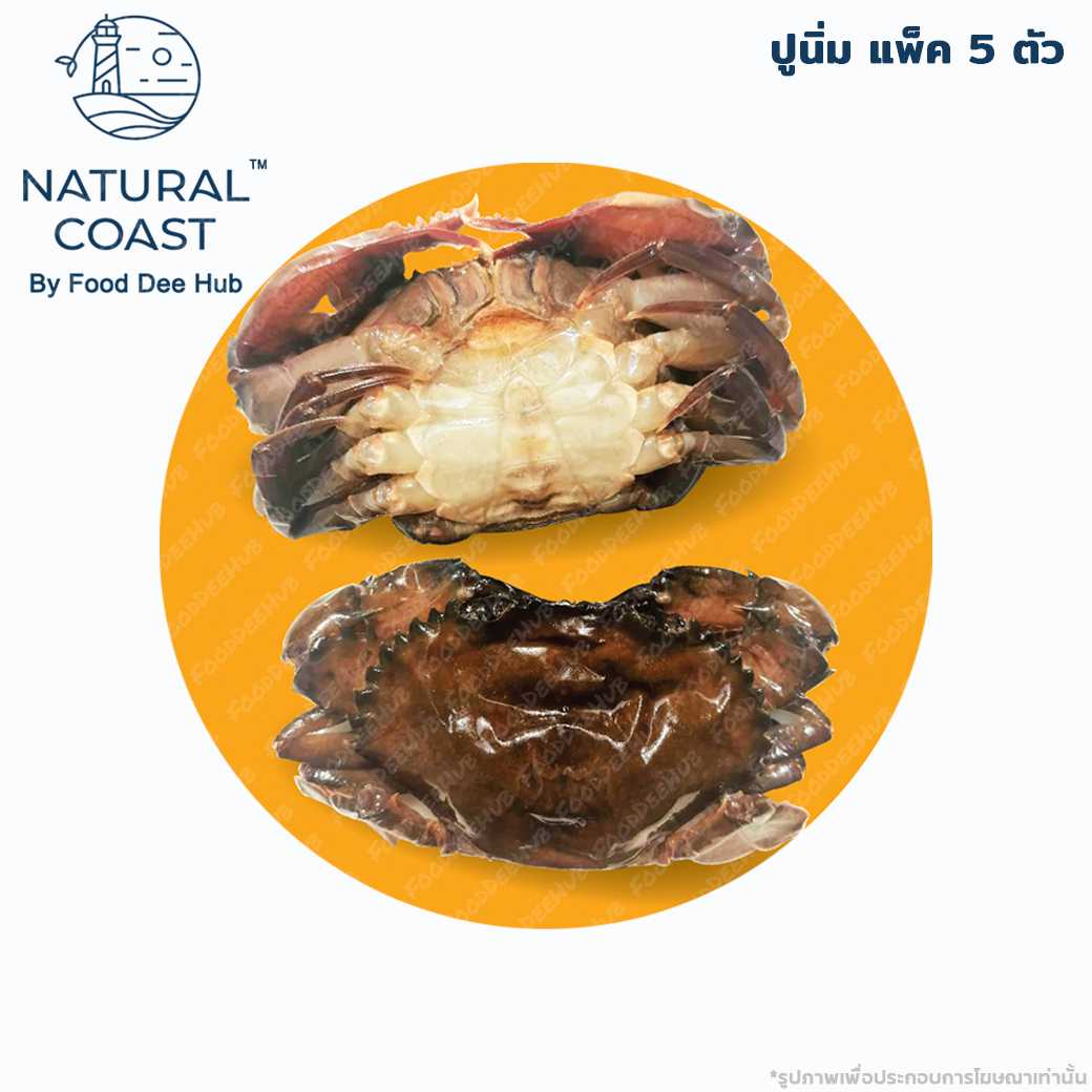 Soft Shell Crab - ปูนิ่ม แพ็ค 5 ตัว