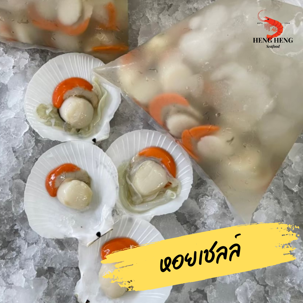 หอยเชลล์