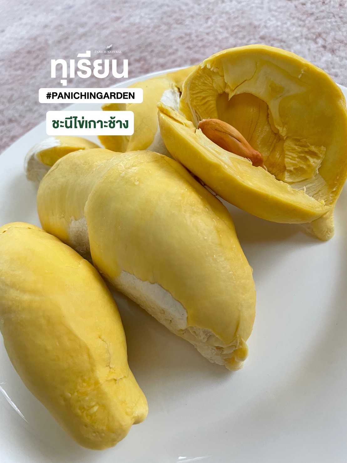 ทุเรียน ชะนีไข่เกาะช้าง จ.ตราด 5-5.5kg.(2ลูก)/กล่อง