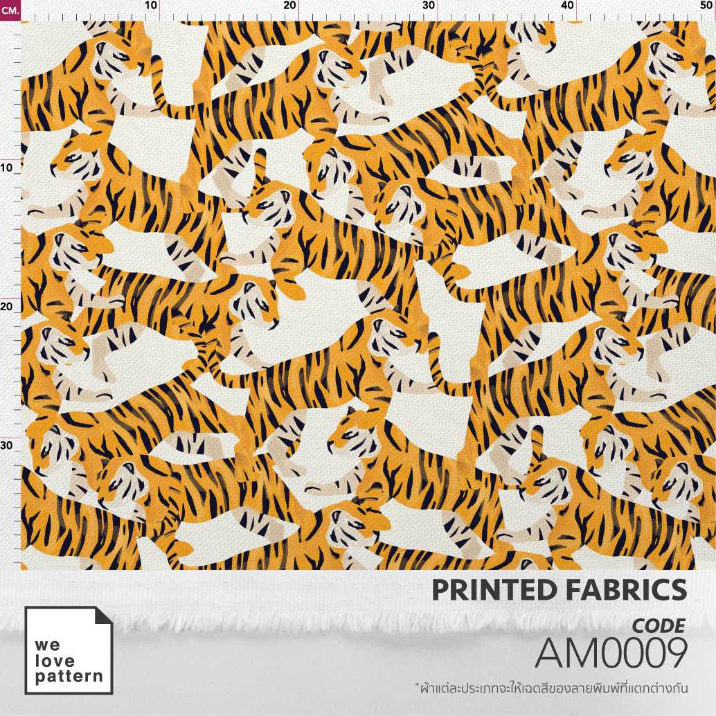 รหัสลาย : AM0009