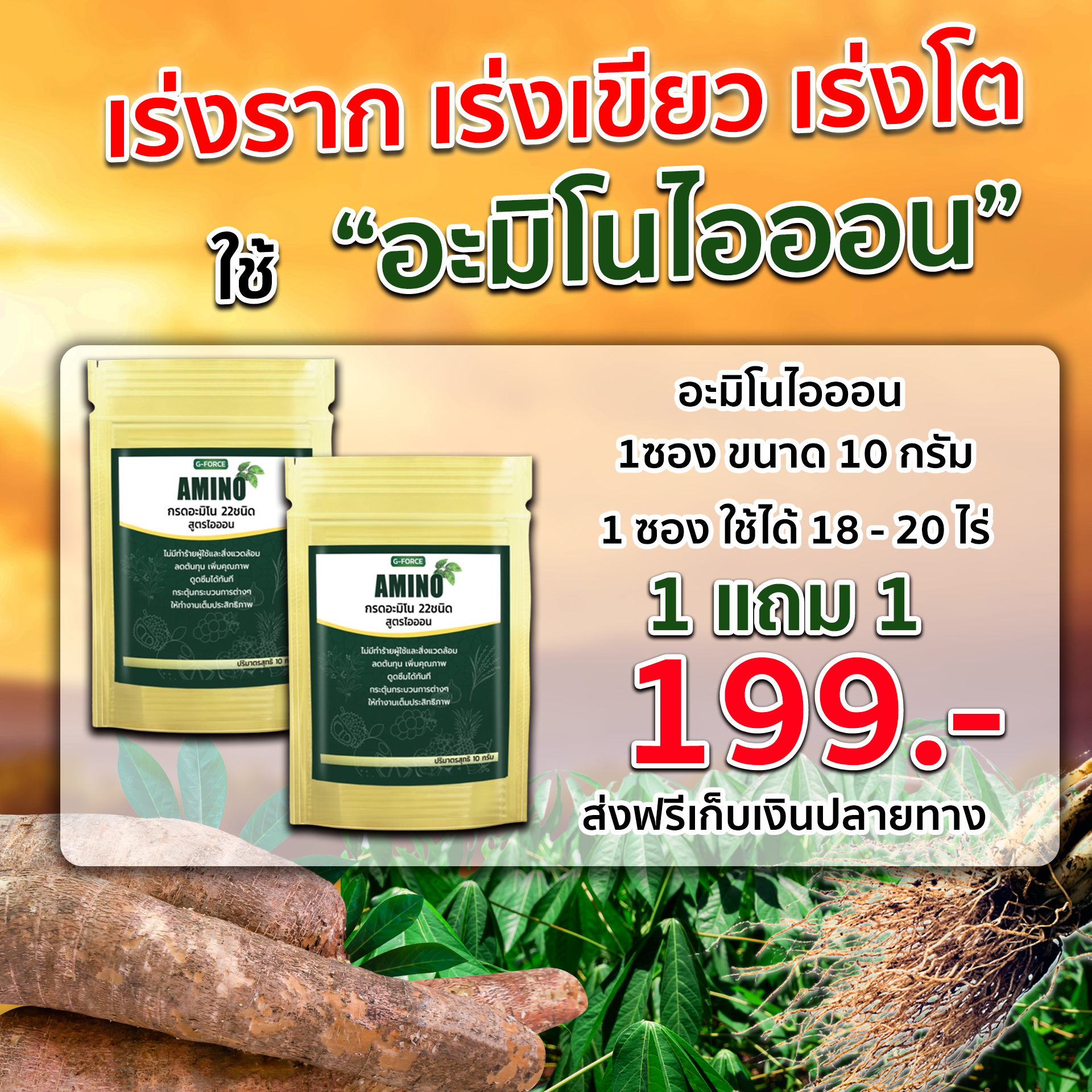 อะมิโนไอออน