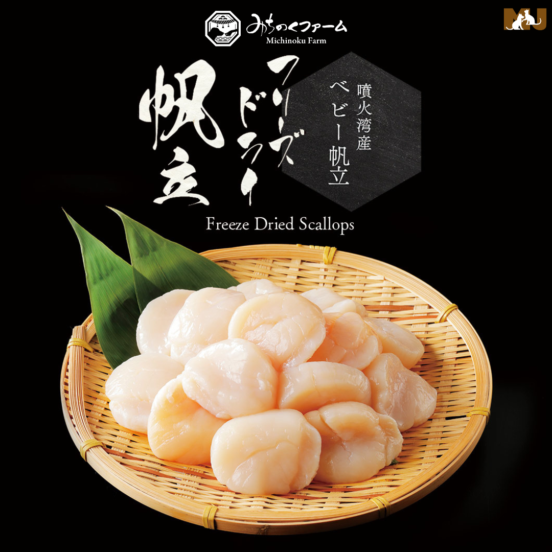 Freeze Dried Scallops 30g.