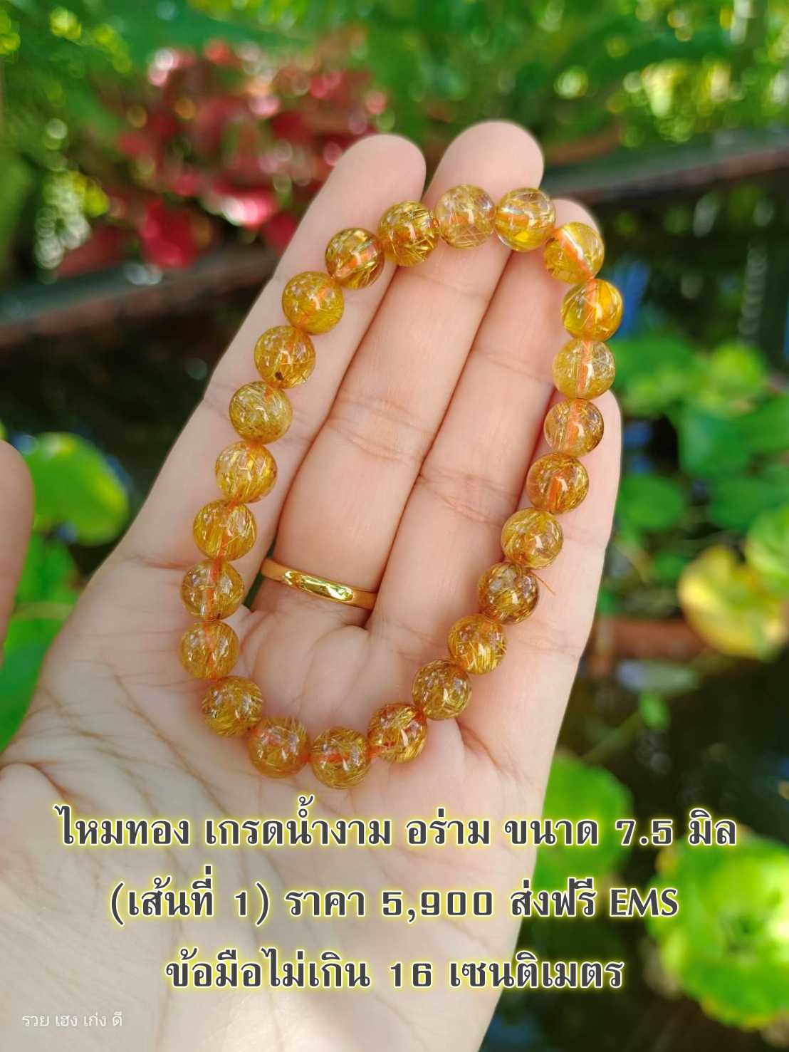 ไหมทอง เกรดน้ำงาม อร่าม ขนาด 7.5 มิล (เส้นที่ 1) - ข้อมือไม่เกิน 16 เซน