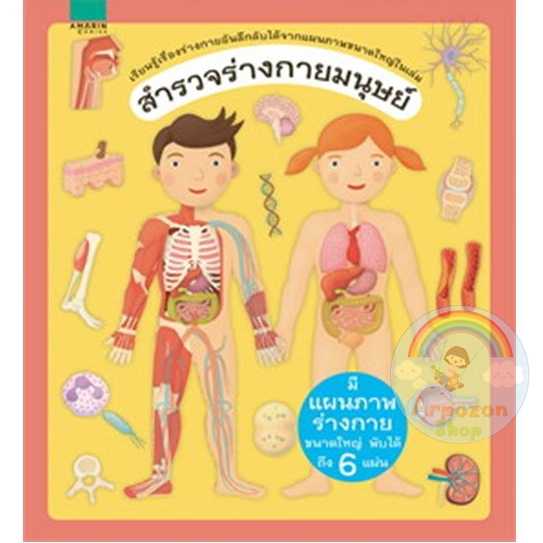 🔥สำรวจร่างกายมนุษย์🔥-ราคาพิเศษ