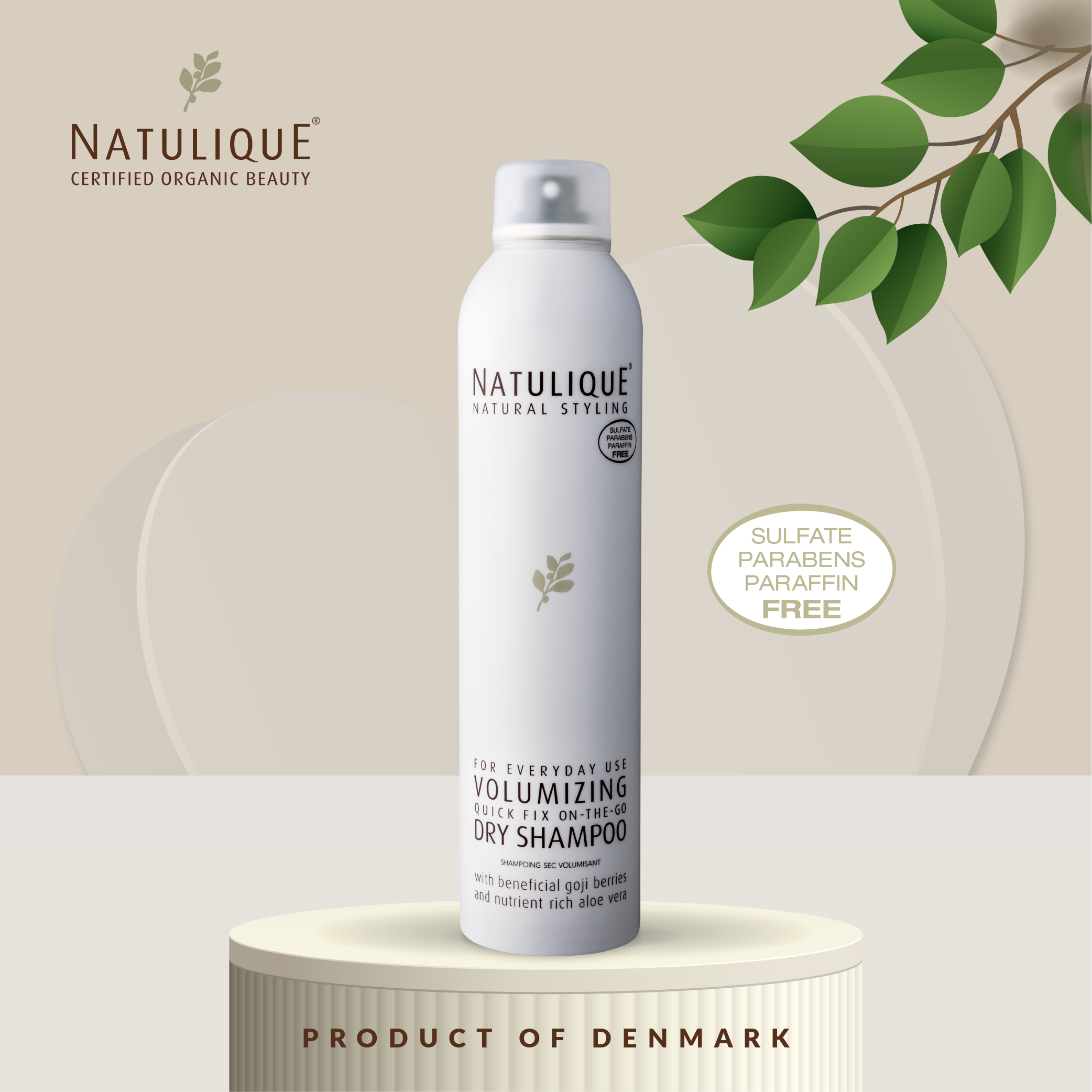 Volumizing Dry Shampoo