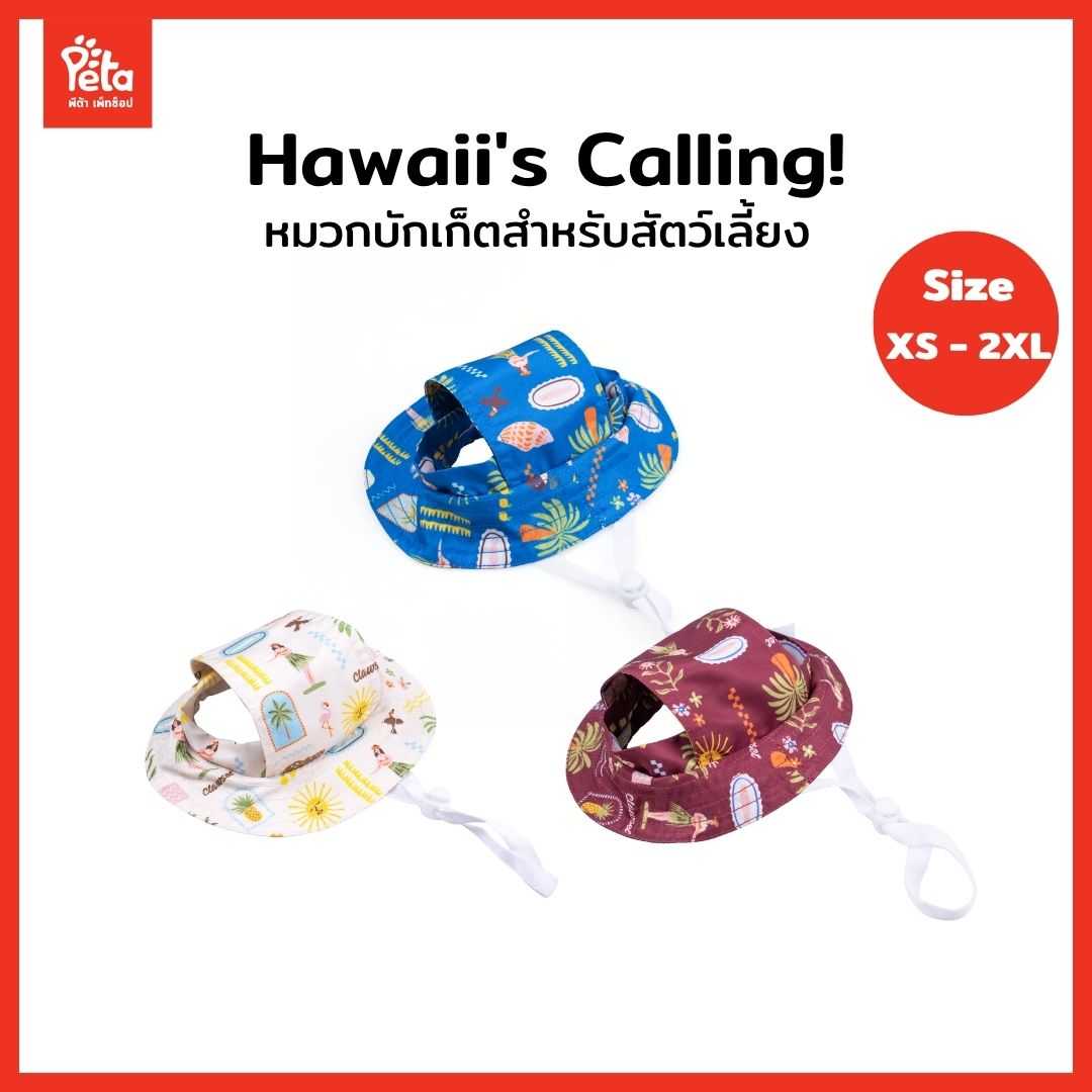 CLAWSET หมวกสัตว์เลี้ยง หมวกบักเก็ต Hawaii's Calling! สุนัข