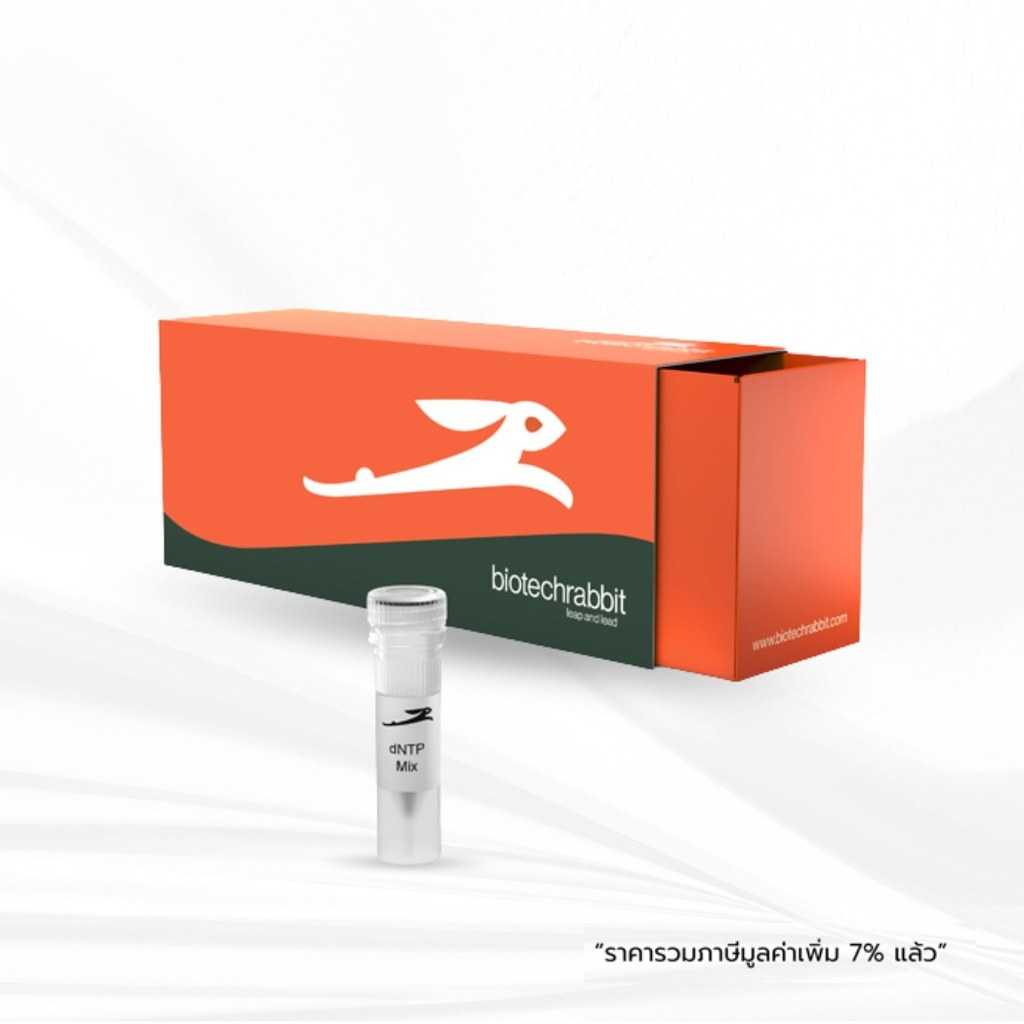 biotechrabbit dNTP Mix (10 mM each)