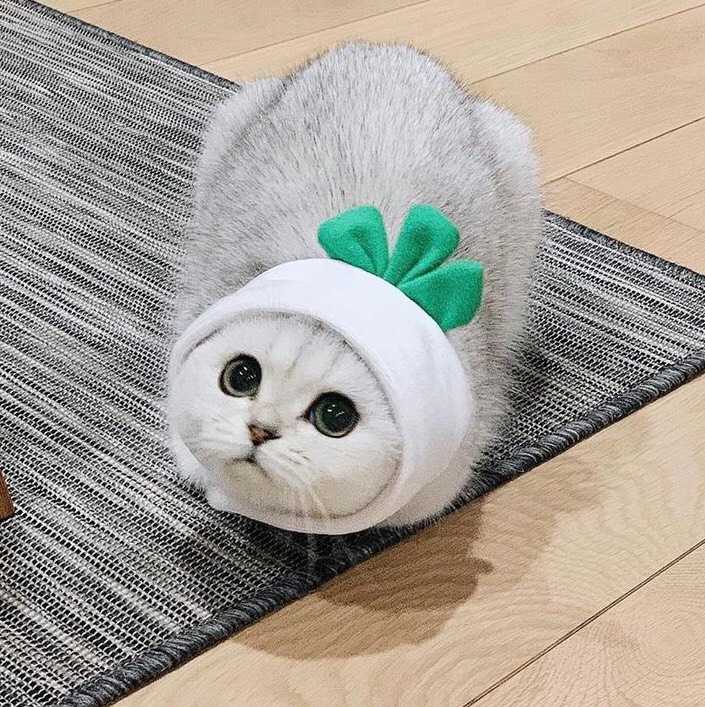 An Image