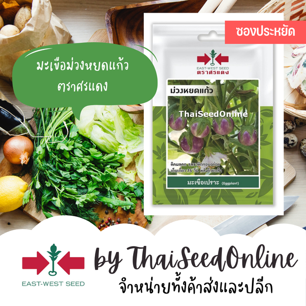 ศรแดง VP3 ซฟ เมล็ดพันธุ์ มะเขือเปราะม่วง ม่วงหยดแก้ว 100เมล็ด ตราศรแดง ซอง 10บาท Eggplant