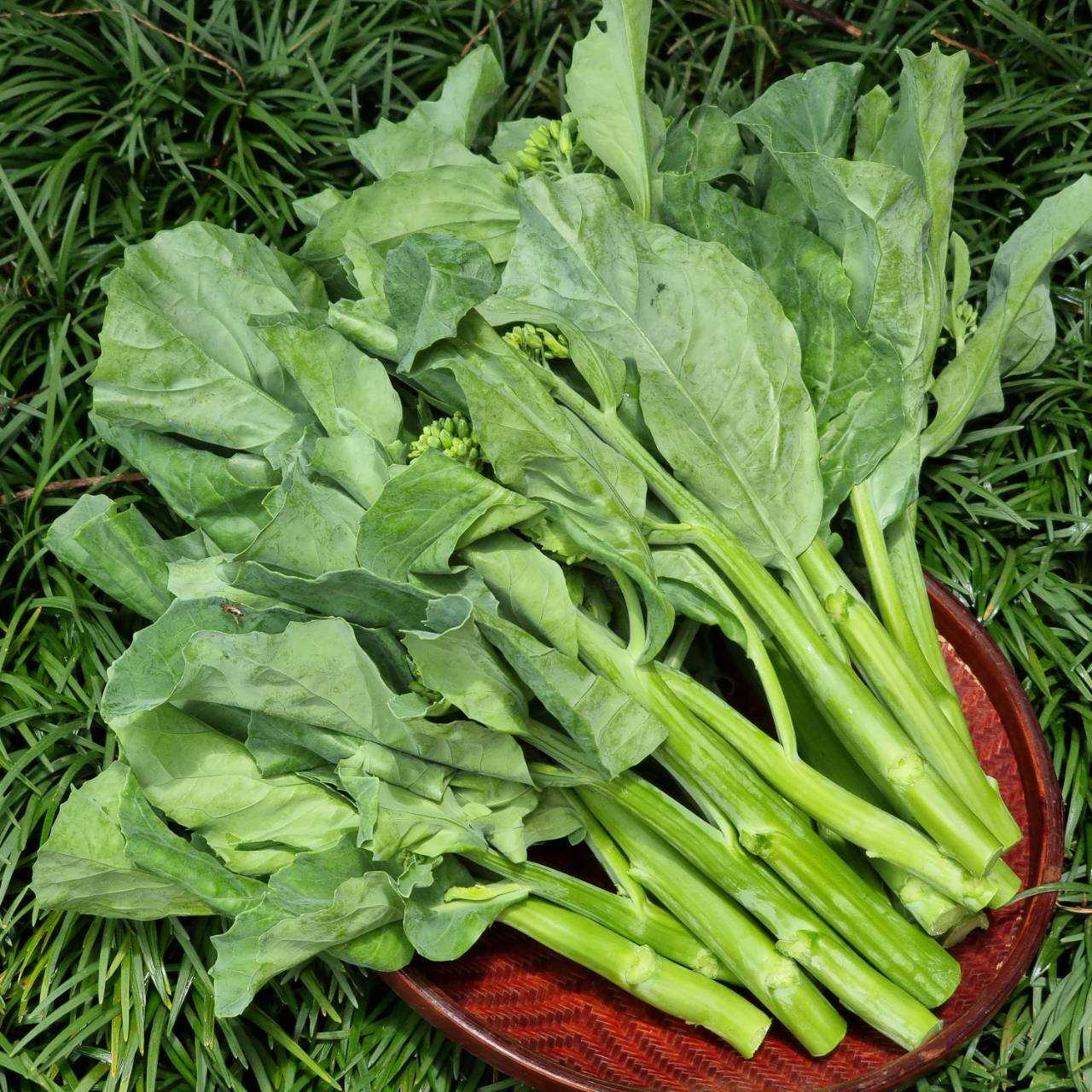 คะน้าฮ่องกง (300 กรัม)