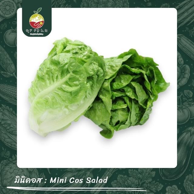มินิคอส Mini Cos Salad 200 g