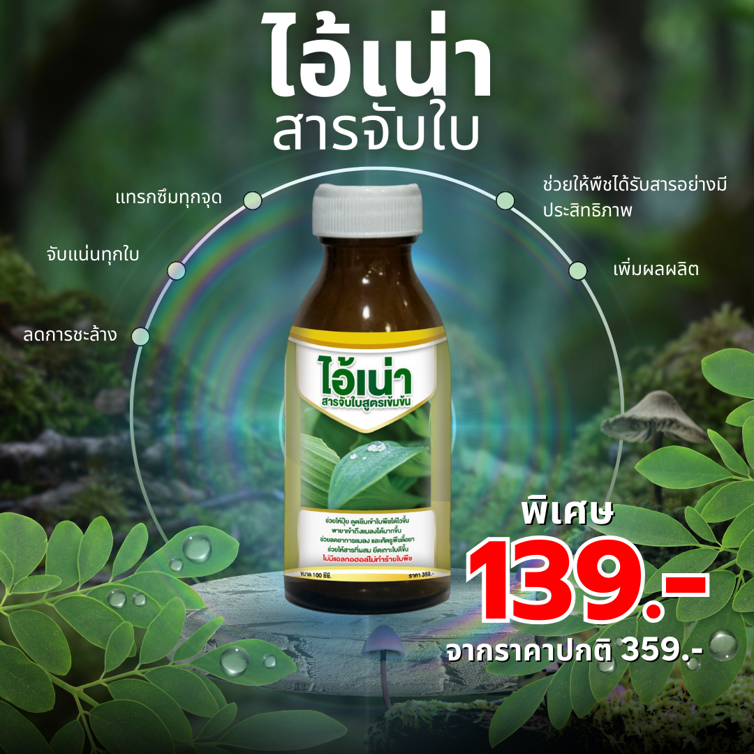 ไอ้เน่า สารจับใบ
