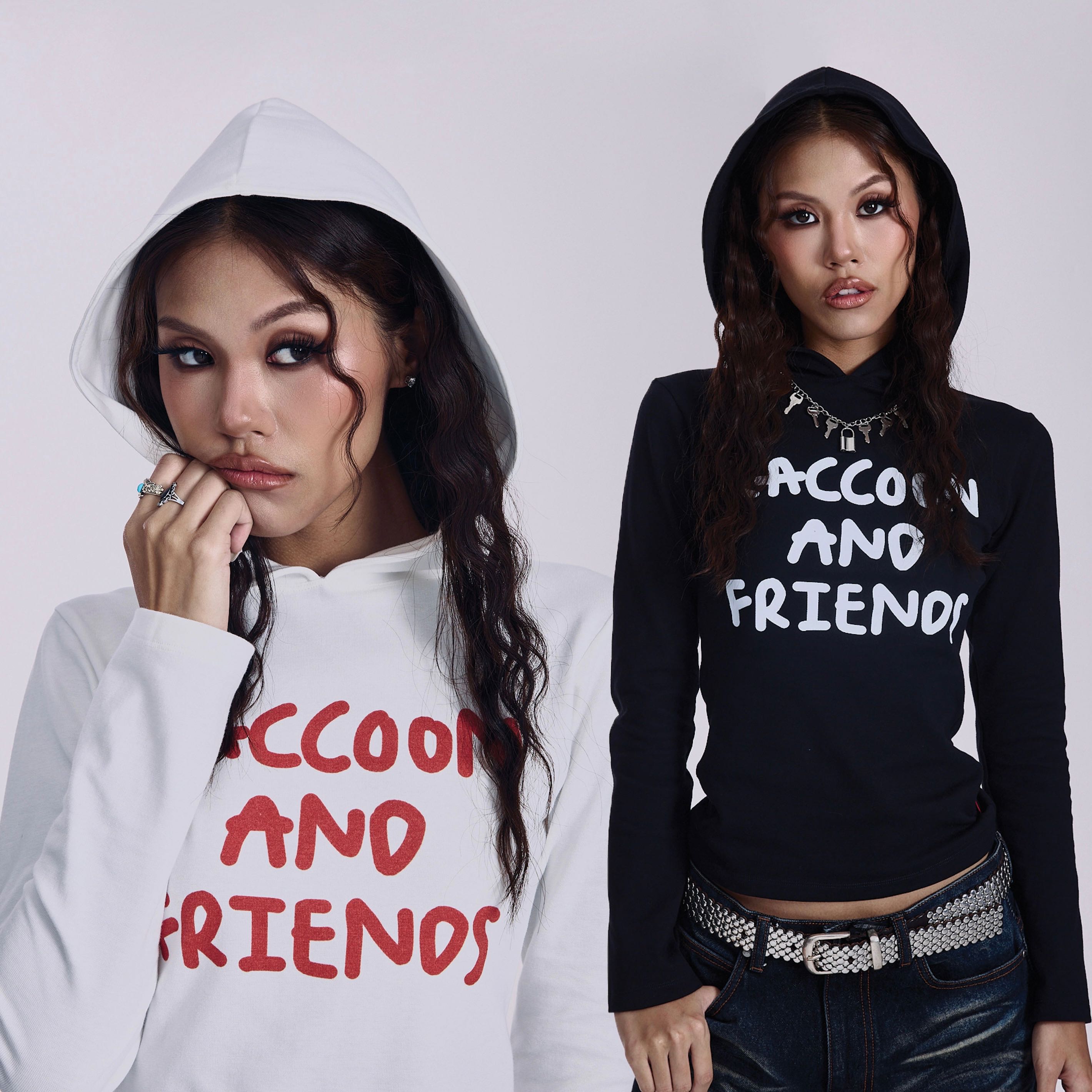 Raccoon and friends hoodie