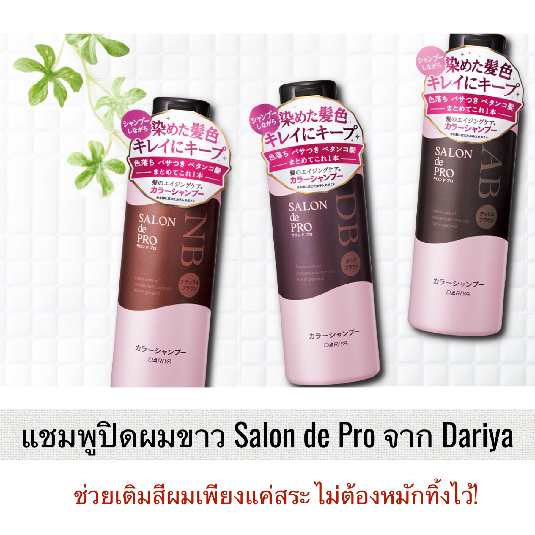 แชมพูปิดผมขาว Salon de Pro จาก Dariya ช่วยเติมสีผมเพียงแค่สระผม ไม่ต้องทิ้งไว้