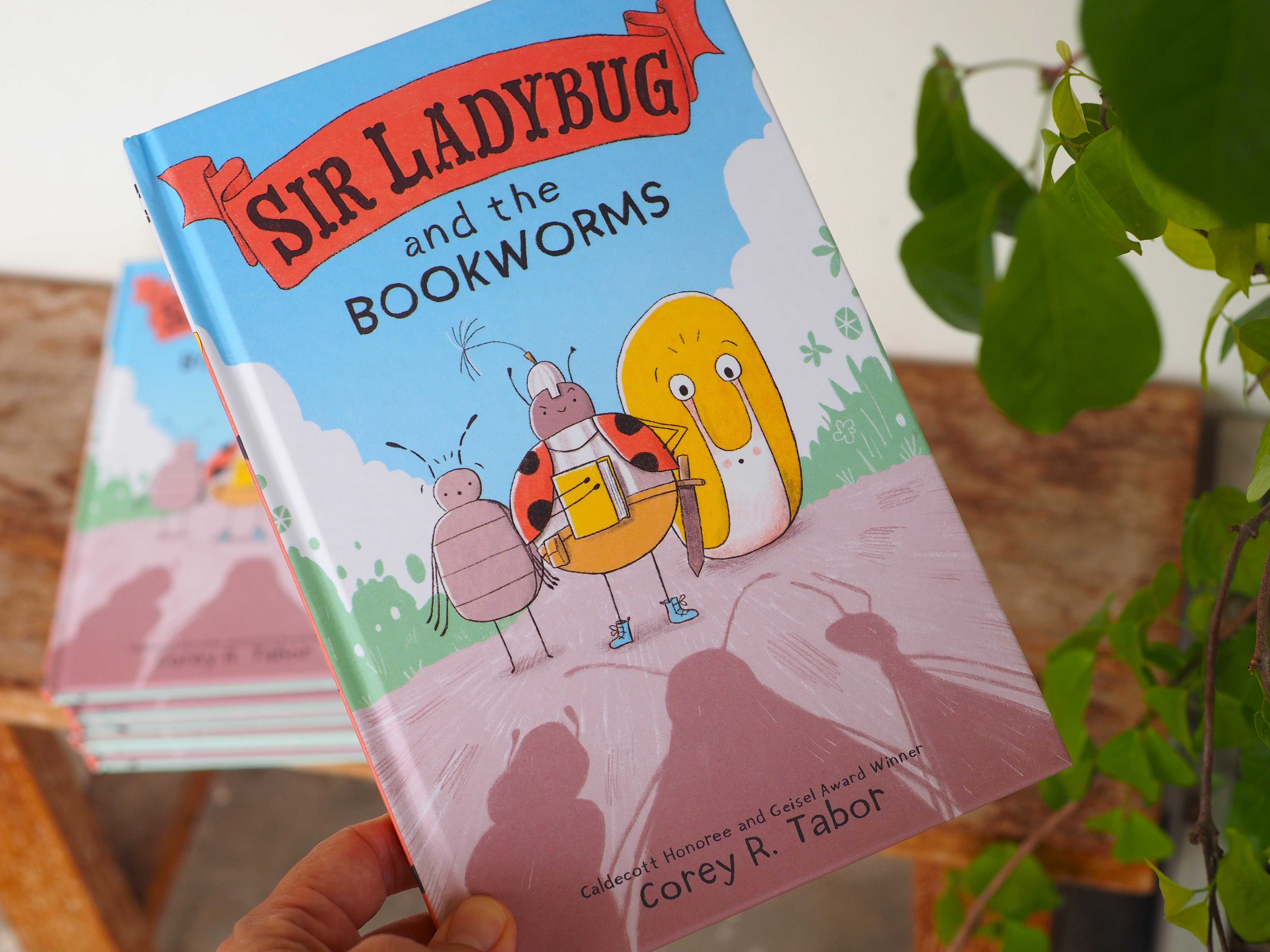 Sir Ladybug and the Bookworms (Used)